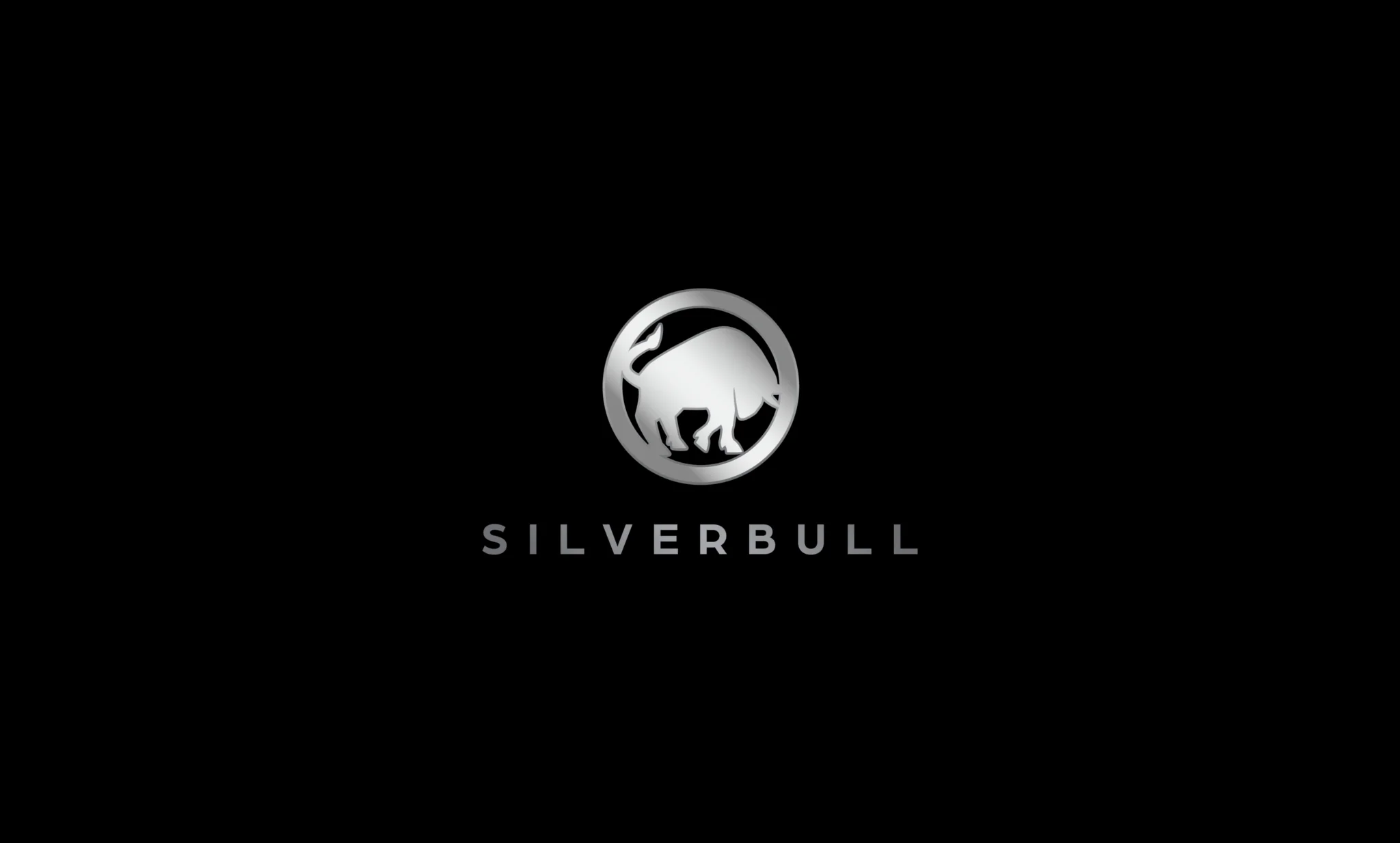 Logo Design / Silverbull