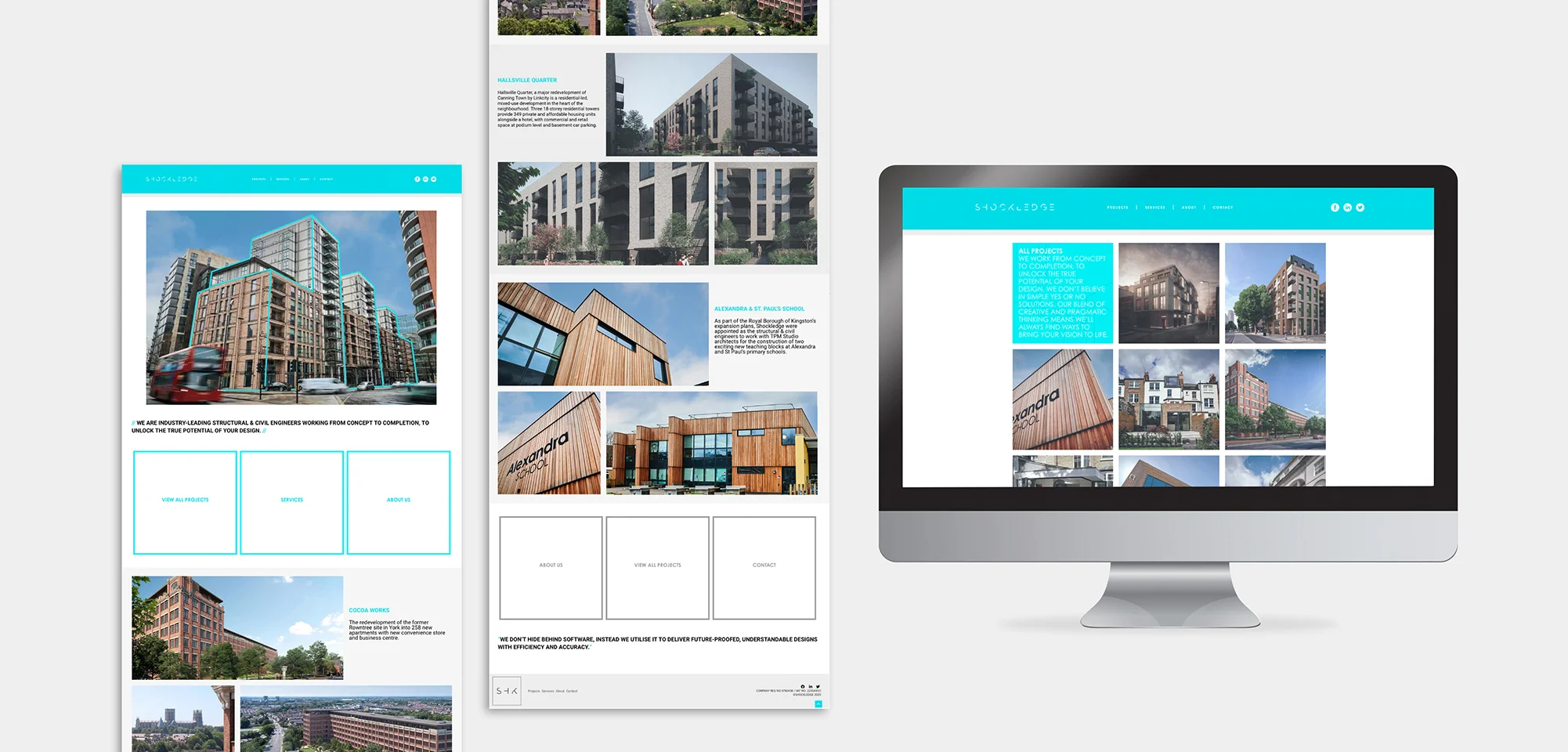Web Design / Shockledge